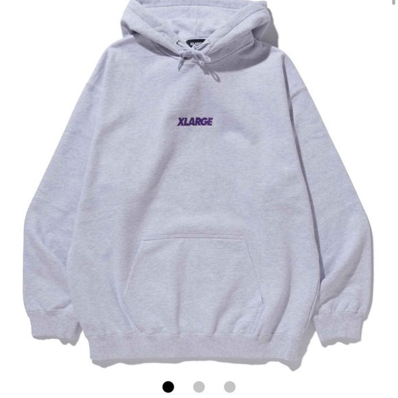 Urban Outfitters Other - XLARGE STANDARD LOGO PULLOVER HOODED SWEAT-ASH-M